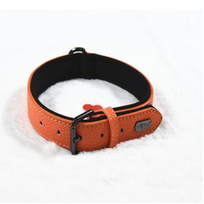 2020New design Pet collar waterproof with PU for Dogs